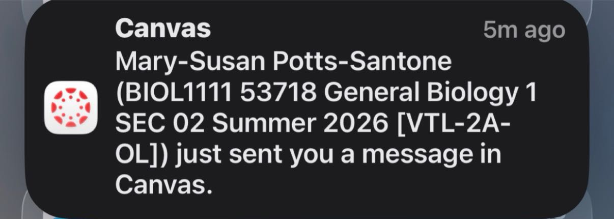 Post attachment