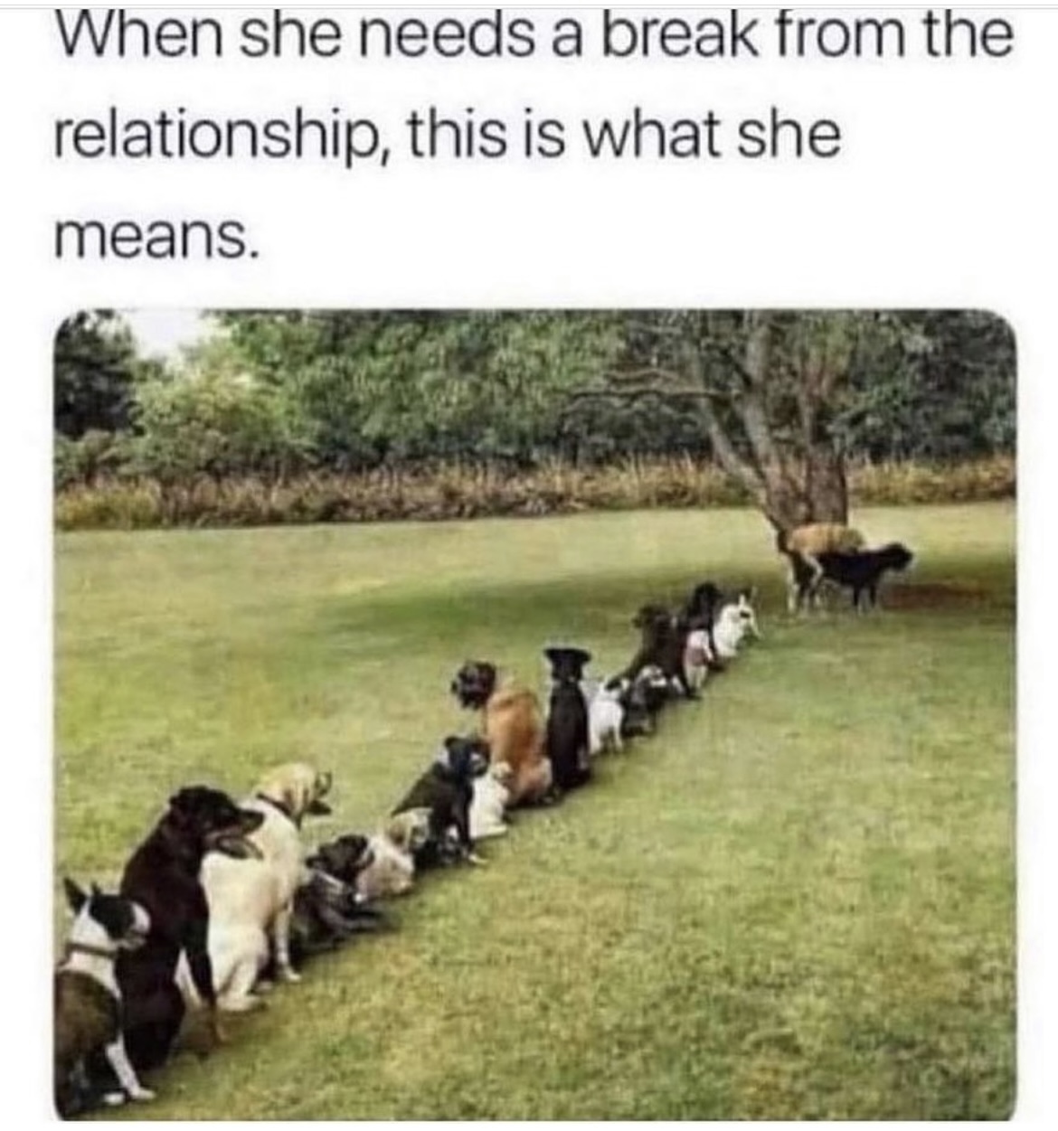 Post attachment